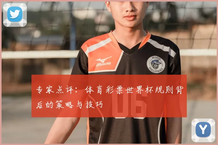 专家点评:体育彩票世界杯规则背后的策略与技巧