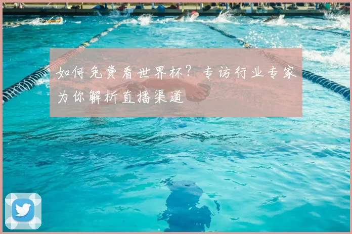 如何免费看世界杯?专访行业专家为你解析直播渠道