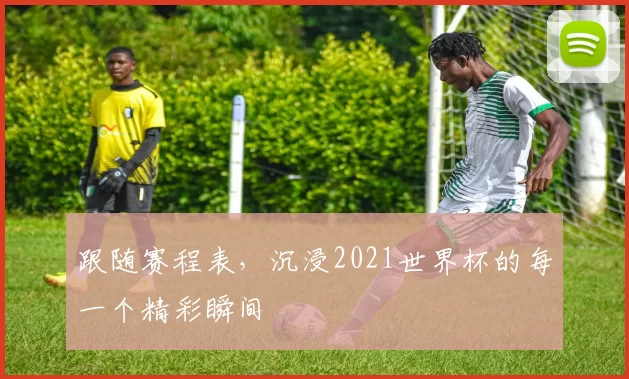 跟随赛程表,沉浸2021世界杯的每一个精彩瞬间