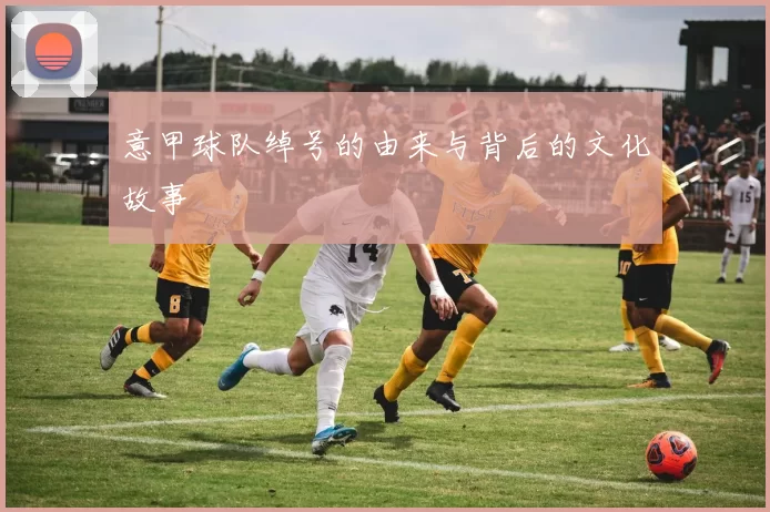 意甲球队绰号的由来与背后的文化故事
