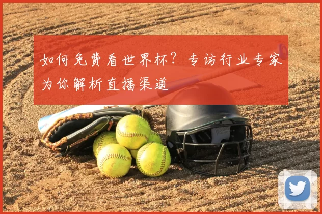 如何免费看世界杯?专访行业专家为你解析直播渠道