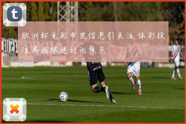 欧洲杯竞彩中奖信息引关注 体彩投注再成球迷讨论焦点