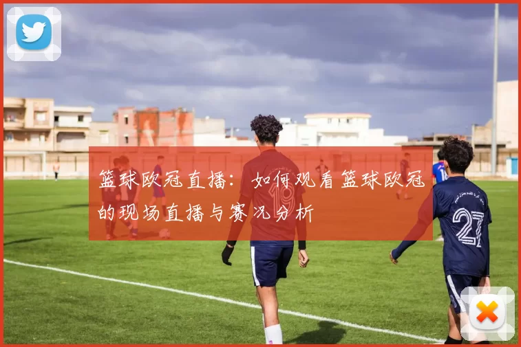 篮球欧冠直播:如何观看篮球欧冠的现场直播与赛况分析