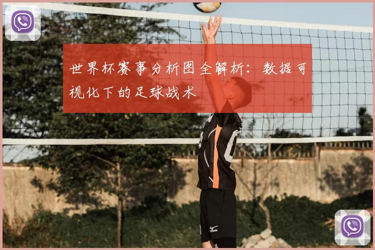 世界杯赛事分析图全解析：数据可视化下的足球战术