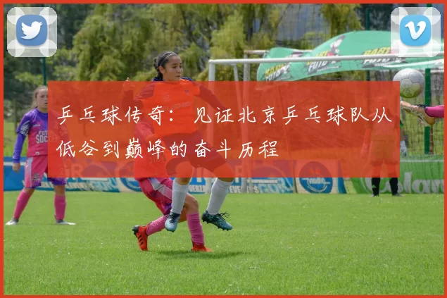 乒乓球传奇：见证北京乒乓球队从低谷到巅峰的奋斗历程