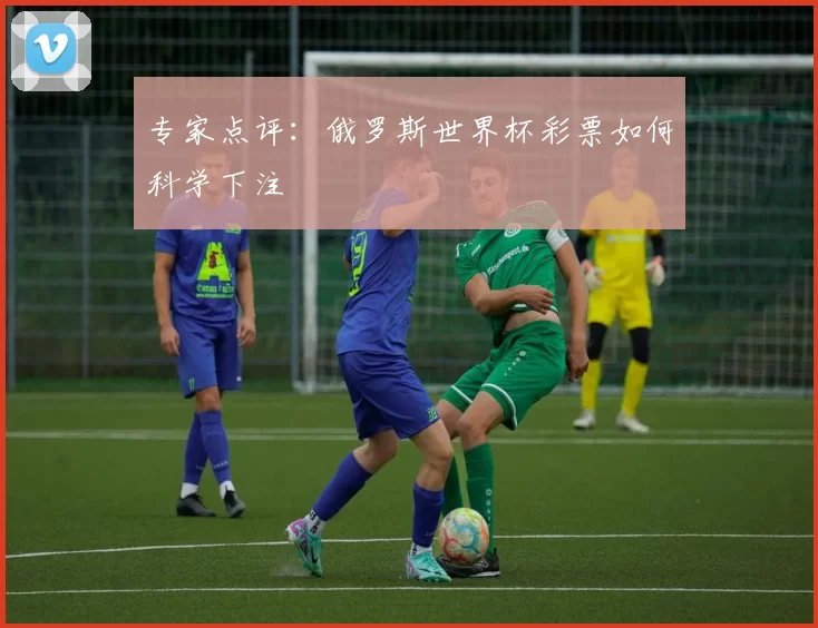 专家点评：俄罗斯世界杯彩票如何科学下注