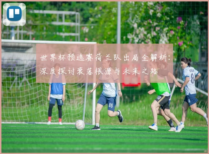 世界杯预选赛荷兰队出局全解析：深度探讨衰落根源与未来之路