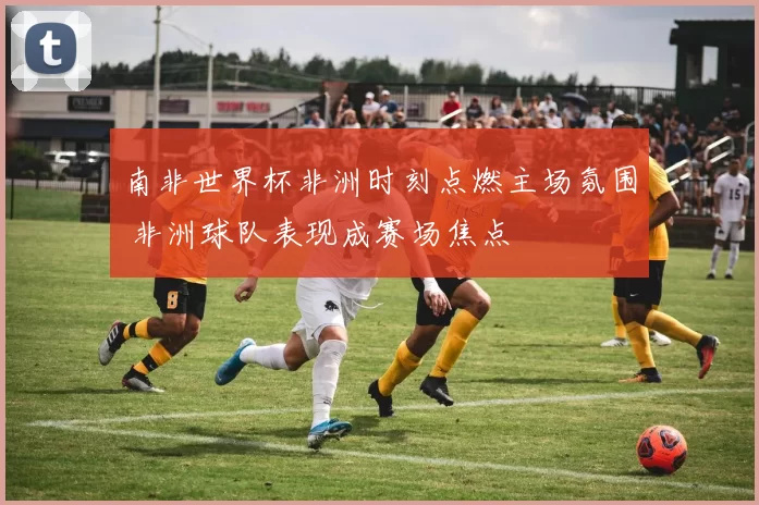 南非世界杯非洲时刻点燃主场氛围 非洲球队表现成赛场焦点