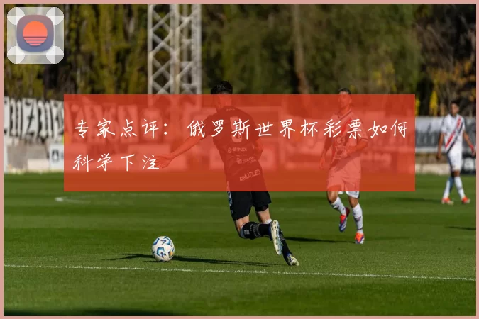 专家点评:俄罗斯世界杯彩票如何科学下注