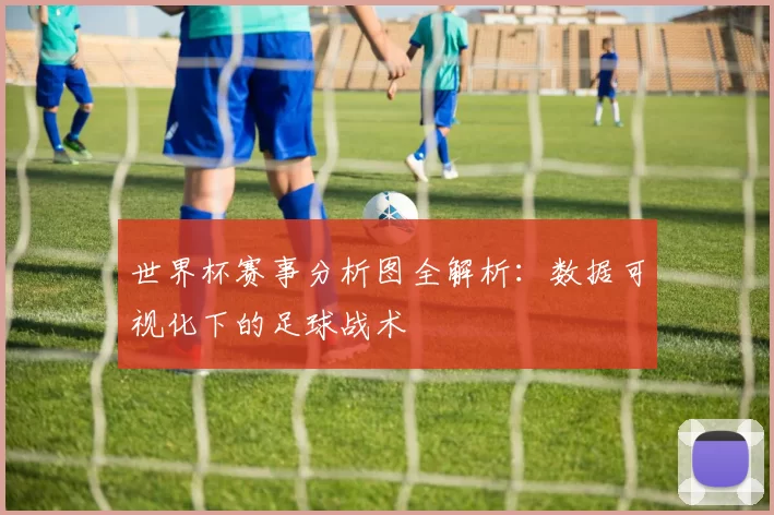 世界杯赛事分析图全解析:数据可视化下的足球战术
